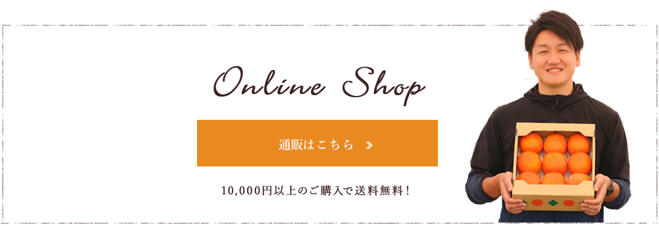 onlineshop_btn